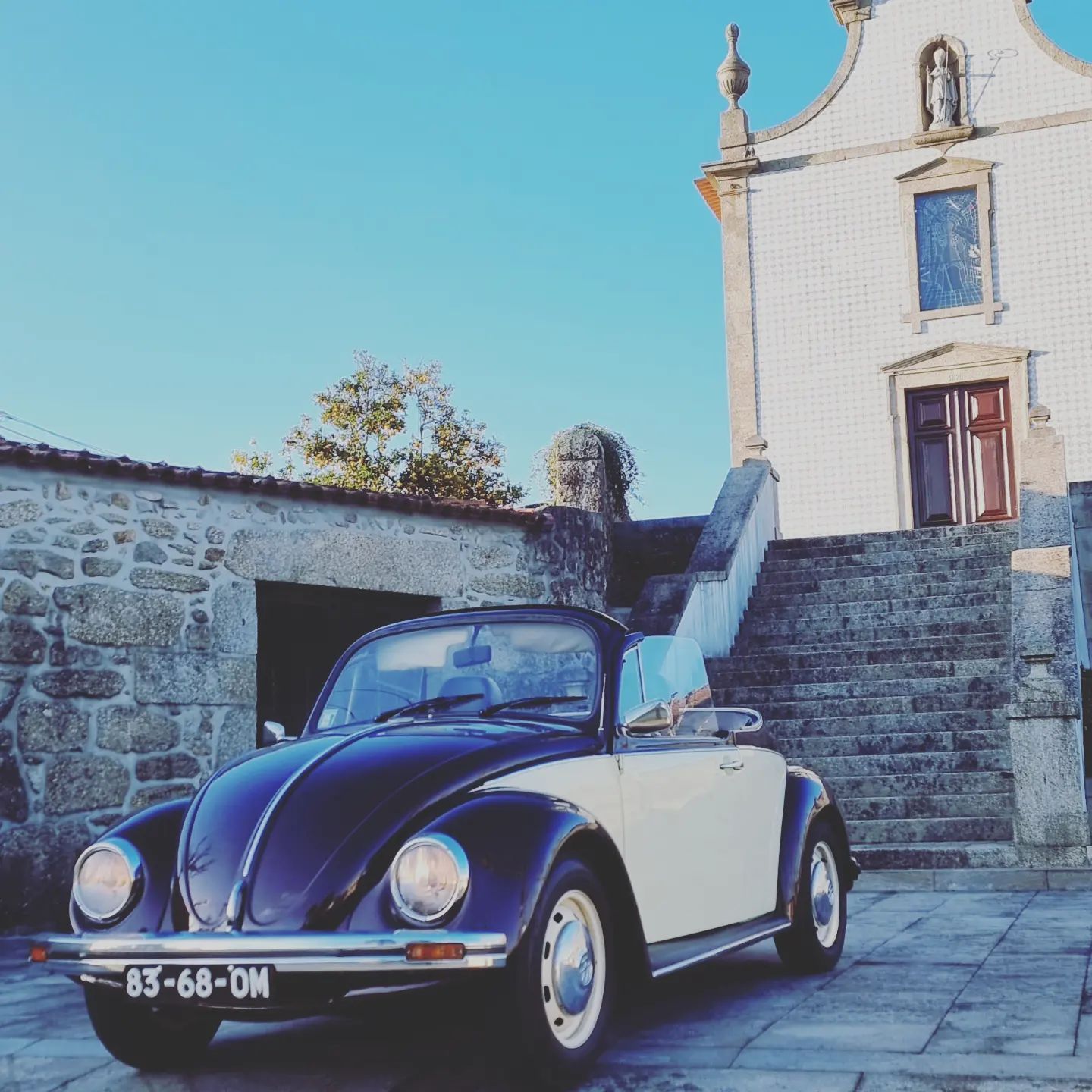 274350708_1635136790152599_2208723812504181633_n